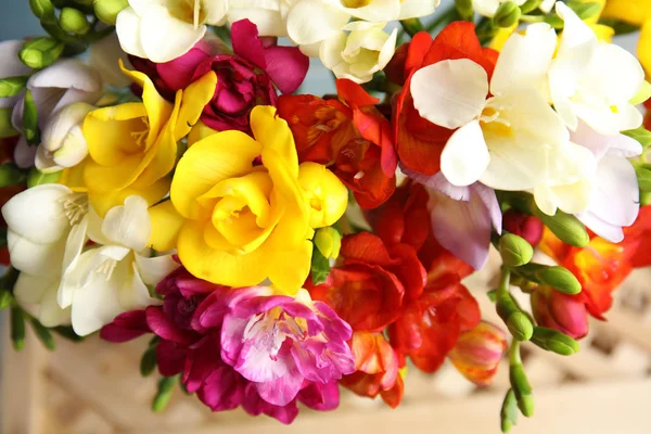 Красиві весняні квіти фрезії на підставці, крупним планом — стокове фото