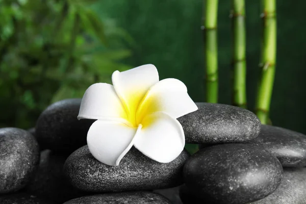 Zen-Steine und exotische Blume auf dem Tisch vor verschwommenem Hintergrund — Stockfoto