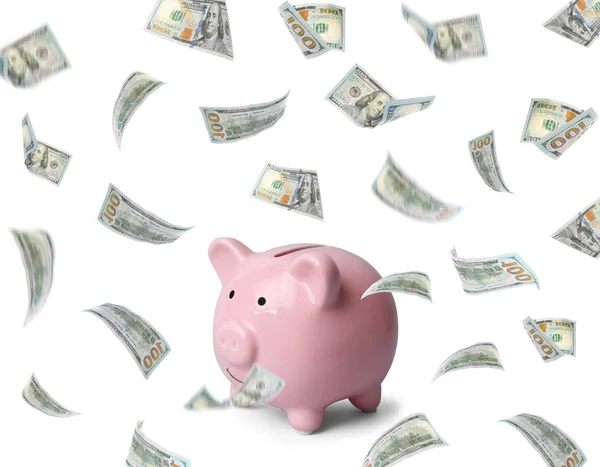 Bonito banco porquinho e voar dólares americanos no fundo branco — Fotografia de Stock