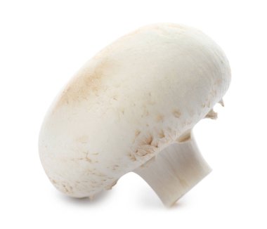 Beyaz arka plan üzerinde taze çiğ champignon mantar