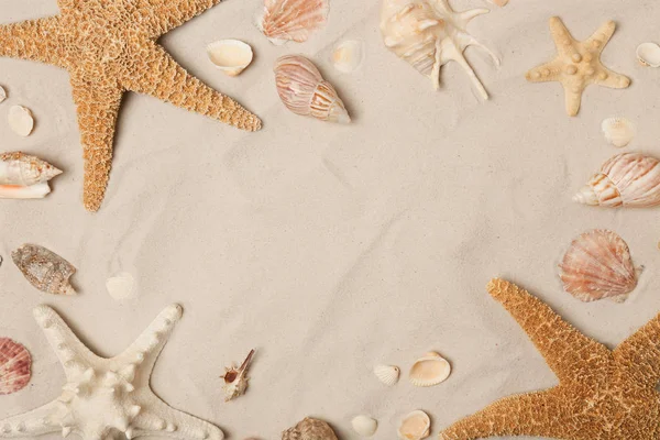 Frame made of seashells and starfishes on beach sand, top view with space for text — Stock Photo, Image