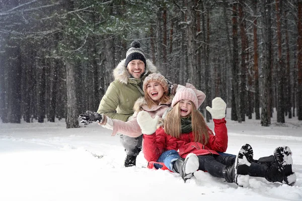 Felice famiglia slittino nella foresta il giorno della neve — Foto Stock