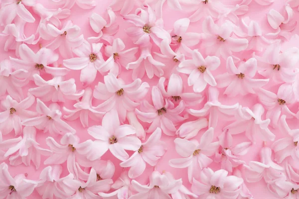 Montón de flores de jacinto de primavera sobre fondo de color, primer plano —  Fotos de Stock