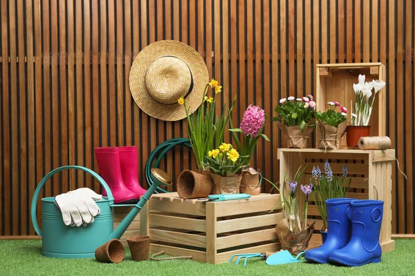 Композиція з різними інструментами для садівництва на штучній траві на дерев'яній стіні — стокове фото