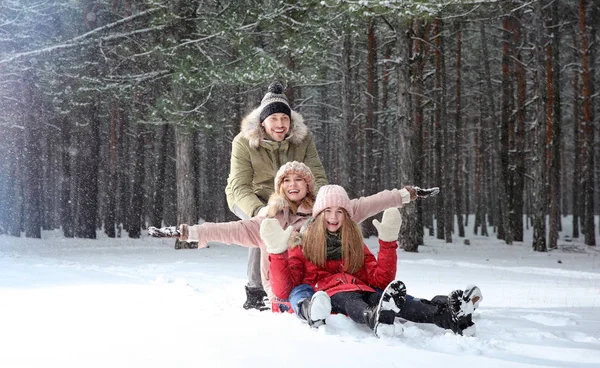 Ευτυχισμένη οικογένεια έλκηθρο με στο δάσος χιόνι ημέρα — Φωτογραφία Αρχείου