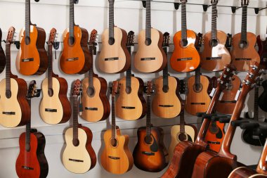 Müzik mağazasında farklı gitarların satırları