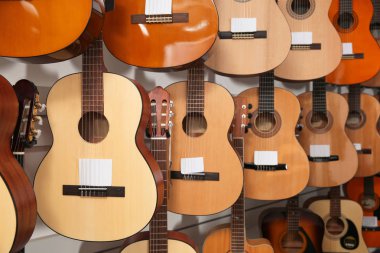 Müzik mağazasında farklı gitarların satırları