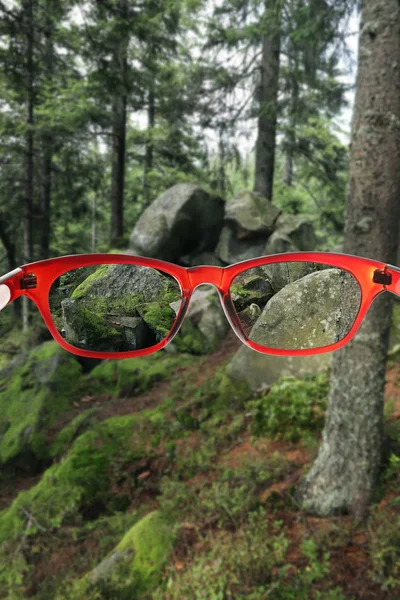 Chiaro bella vista attraverso gli occhiali. prescrizione oftalmologo — Foto Stock