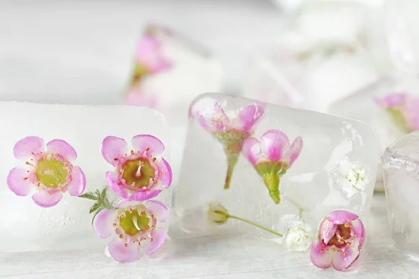 Květinové kostky z ledu na stole, pohled na zaostřená — Stock fotografie