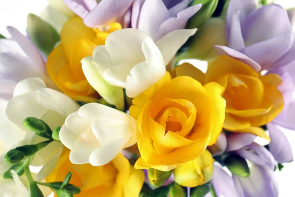 Красивый букет свежих цветов фрезии в качестве фона, крупный план — стоковое фото