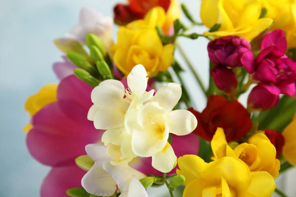 Красиві весняні квіти фрезії на кольоровому фоні, крупним планом — стокове фото