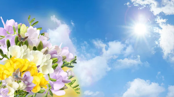 Beautiful spring freesia flowers and flying butterflies against blue sky, space for text — Stock Photo, Image