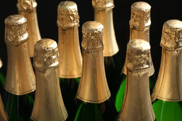 Veel flessen champagne op donkere achtergrond, close-up — Stockfoto