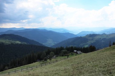 Güzel manzara orman ve dağ etekleri ile