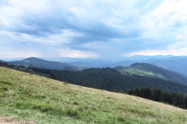 Güzel manzara orman ve dağ etekleri ile