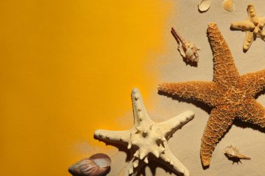 Renk arka planda metin için deniz kabukları, Plaj kumu ve alanı ile düz yatıyordu kompozisyon