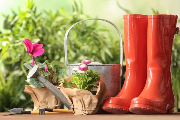 Blooming flowers and gardening equipment on table outdoors — Stock Photo, Image