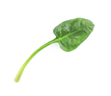 Ispanak taze yaprak beyaz izole, üst görünümü