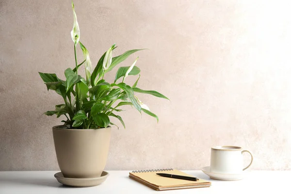 Komposition mit Friedenslilie, Notizbuch und Tasse auf Tisch vor farbiger Wand. Raum für Text — Stockfoto