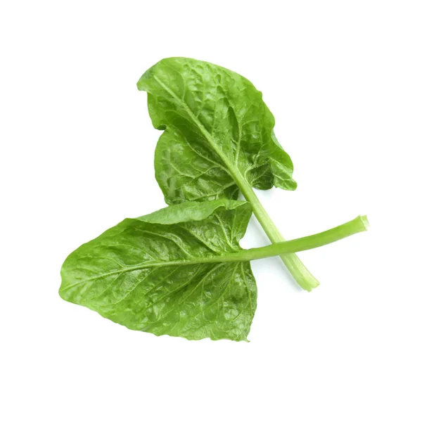 Свіжі листя шпинату ізольовані на білому, вид зверху — стокове фото