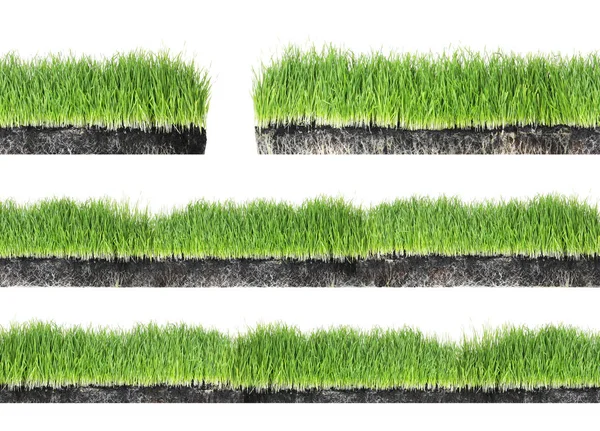 Set med färskt grönt gräs på vit bakgrund — Stockfoto
