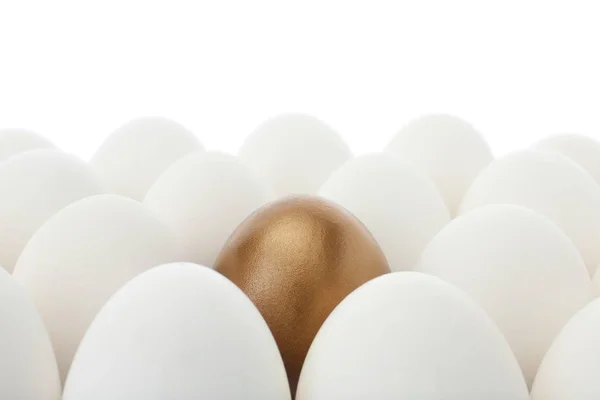 Χρυσό αυγό μεταξύ των απλών σε λευκό φόντο, κοντινό πλάνο — Φωτογραφία Αρχείου