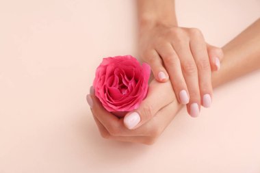 Renk arka plan, metin için boşluk gül ile kadının çekim görünümü. Spa tedavisi