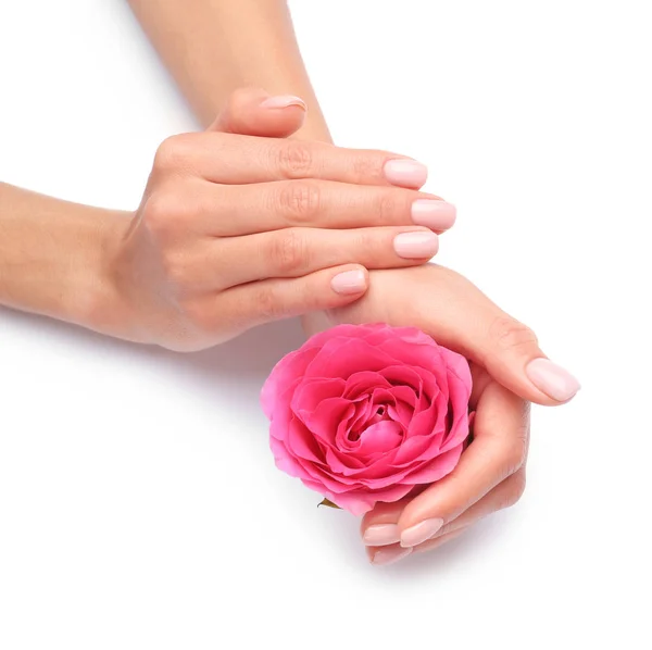 Mujer sosteniendo rosa sobre fondo blanco, primer plano. Tratamiento de spa — Foto de Stock