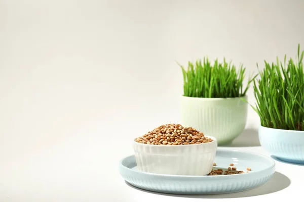 Vaisselle en céramique avec graines de blé et herbe sur fond blanc, espace pour le texte — Photo