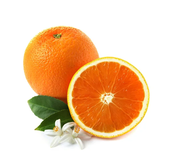 Mogna apelsiner, löv och blommor på vit bakgrund. Citrusfrukter — Stockfoto