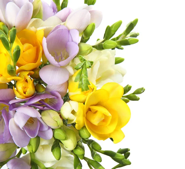 Букет свіжих квітів фрезії ізольовані на білому, вид зверху — стокове фото