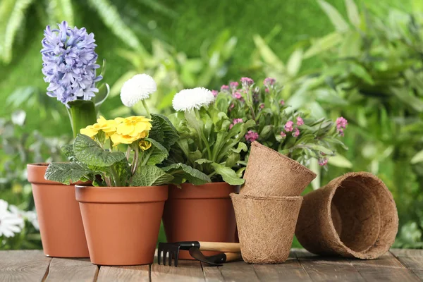 Krukväxter blommande blommor och trädgårdsskötsel utrustning på träbord utomhus — Stockfoto