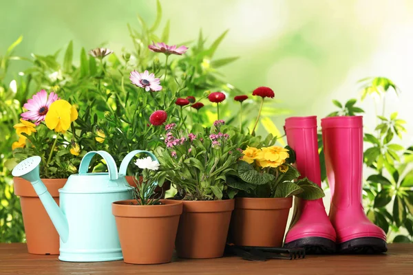 Potted blooming flowers and gardening equipment on wooden table outdoors — Stock Photo, Image