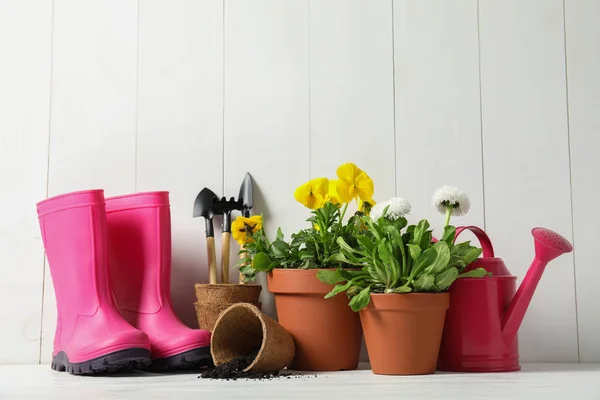 Flores florecientes en macetas y equipos de jardinería sobre mesa — Foto de Stock