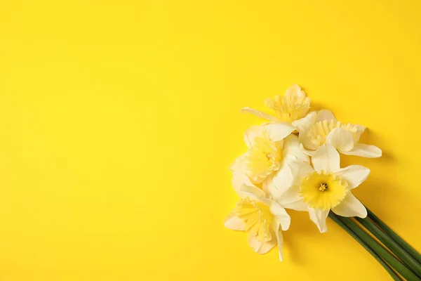 Bouquet of daffodils on color background, top view with space for text. Fresh spring flowers — Stock Photo, Image