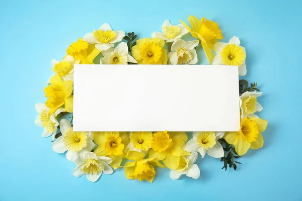 Composición plana con narcisos y tarjeta sobre fondo de color, espacio para texto. Flores frescas de primavera — Foto de Stock