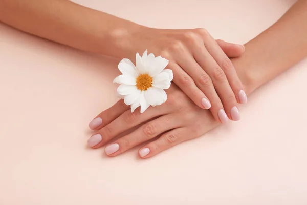 Vista de cerca de la mujer con la flor en el fondo de color. Tratamiento de spa — Foto de Stock