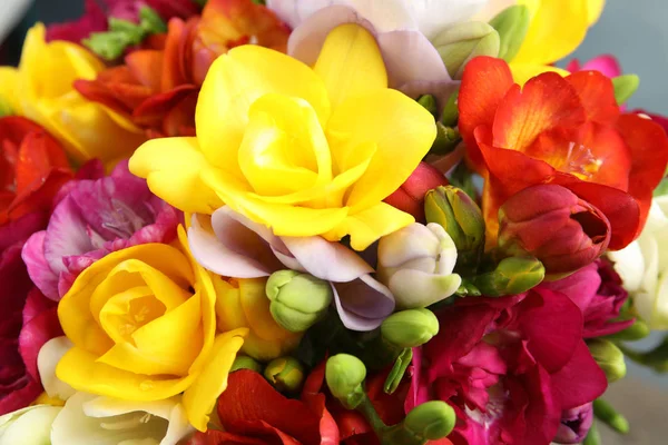Vackra ljusa Spring Freesia blommor, närbild — Stockfoto