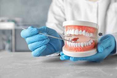 Klinikte masada ağız boşluğu nun eğitim modelini tutan diş hekimi, yakın çekim