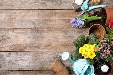 Ahşap arka plan üzerinde bahçe ekipmanları ve çiçekler ile Düz yatıyordu kompozisyon, metin için alan
