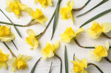 Beyaz ahşap arka plan üzerinde nergis ile düz yatıyordu kompozisyon. Taze bahar çiçekleri