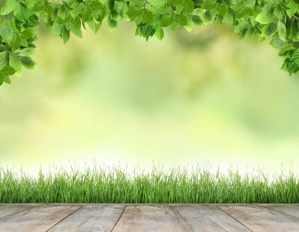 Terrasse und frisches grünes Gras vor verschwommenem Hintergrund, Platz für Text — Stockfoto