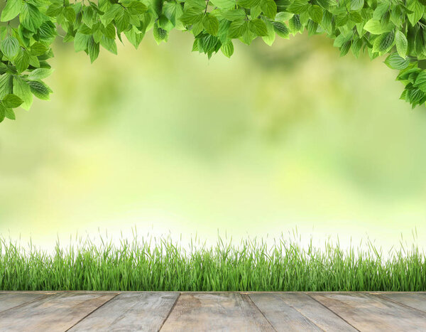 Терраса и свежая зеленая трава на размытом фоне, пространство для текста
