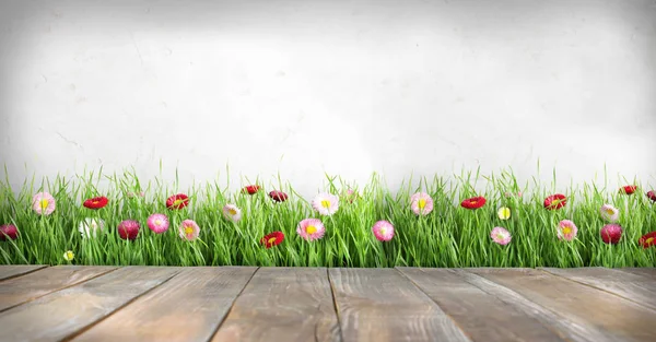 Terrass och färskt grönt gräs med blommor mot ljus bakgrund, utrymme för text — Stockfoto