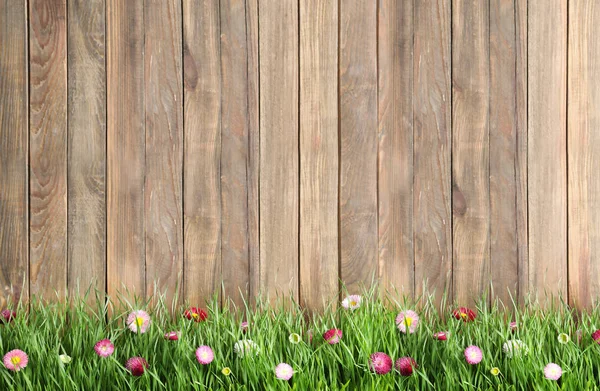 Fresh green grass with flowers against wooden background, space for text — Stock Photo, Image