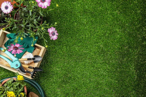 Composição de leigos planos com equipamento de jardinagem e flores na grama verde, espaço para texto — Fotografia de Stock
