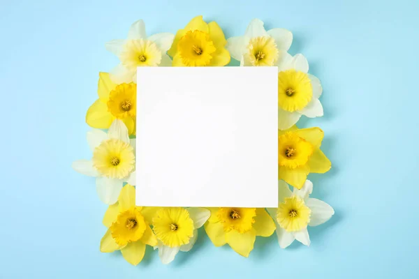Composición plana con narcisos y tarjeta sobre fondo de color, espacio para texto. Flores frescas de primavera — Foto de Stock