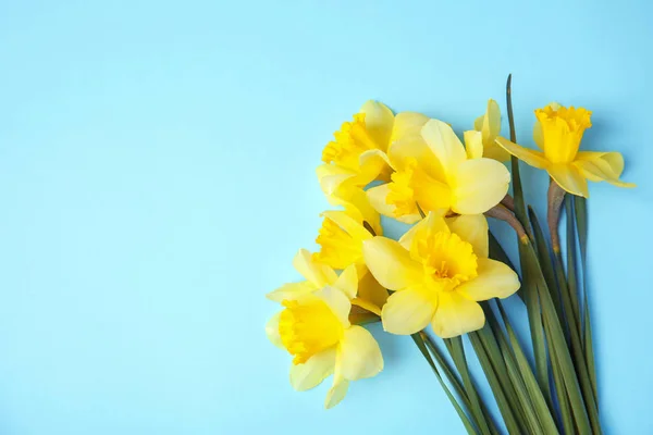 Ramillete de narcisos sobre fondo de color, vista superior con espacio para texto. Flores frescas de primavera — Foto de Stock