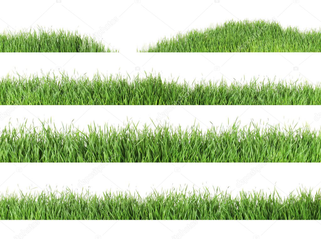 Set of fresh green grass on white background