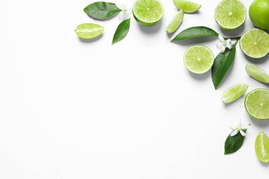 Beyaz arka plan üzerinde kireç, çiçek ve yapraklardan yapılmış çerçeve, metin için alan ile üst görünüm. Narenciye